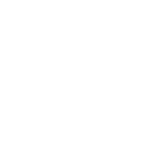 Epicor Certified Gold Partner logo