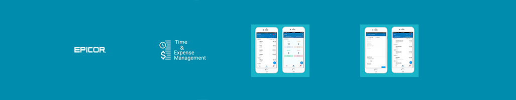 Dashboard examples from the mobile time and expense management module.