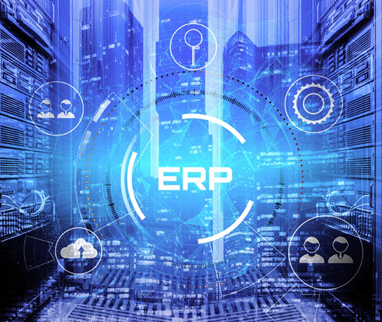 What is an ERP system ?