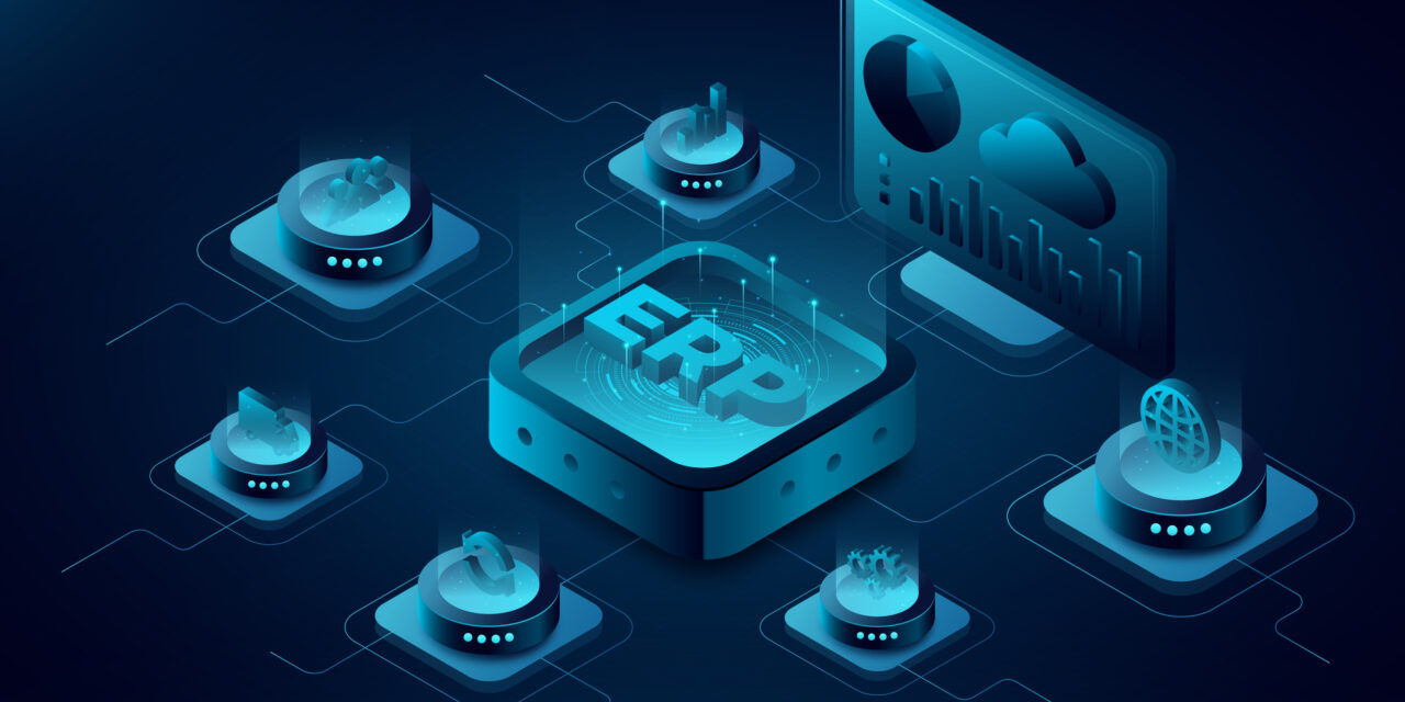 ERP Implementation Partner